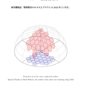 TECUM 数理教育セミナー（2025年11月研究会）に参加